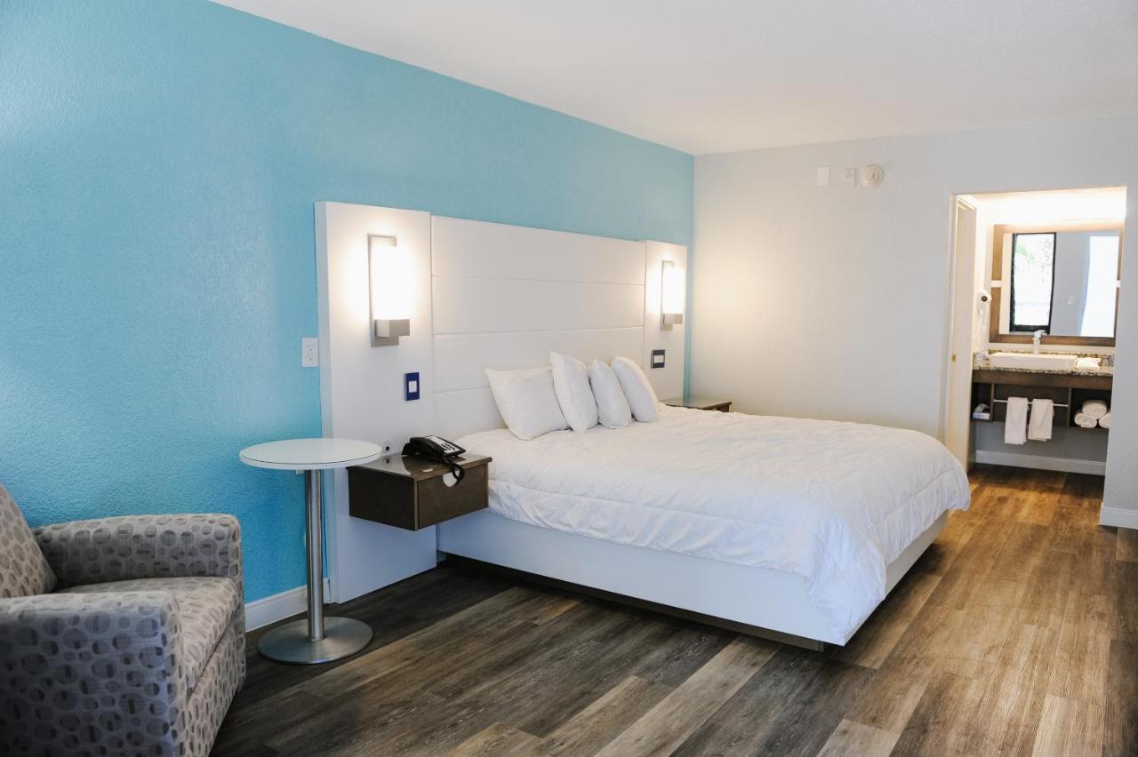King Room,1004940673:JPEG