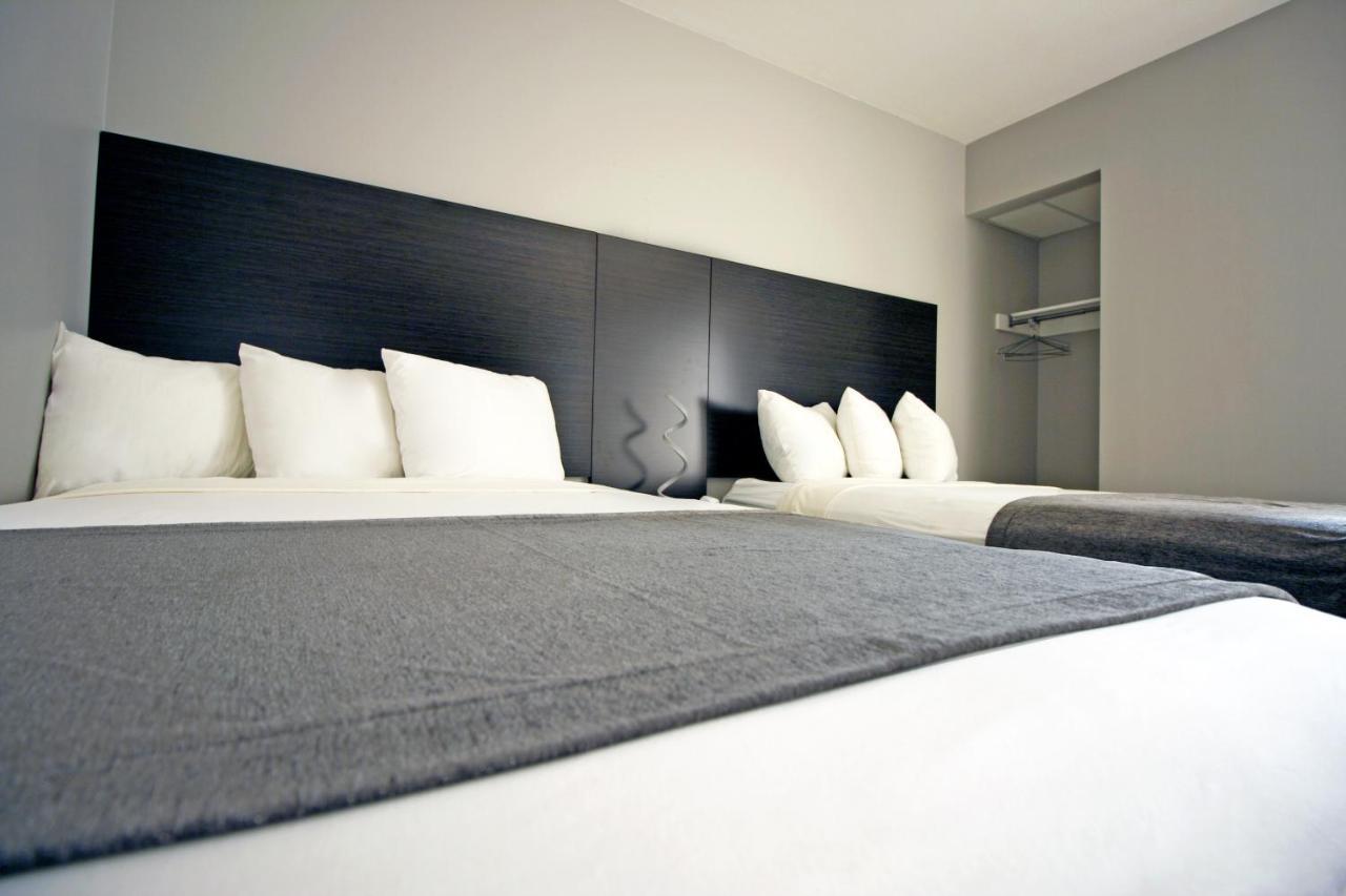 One-Bedroom Suite with Sofa Bed,1037152261:JPEG