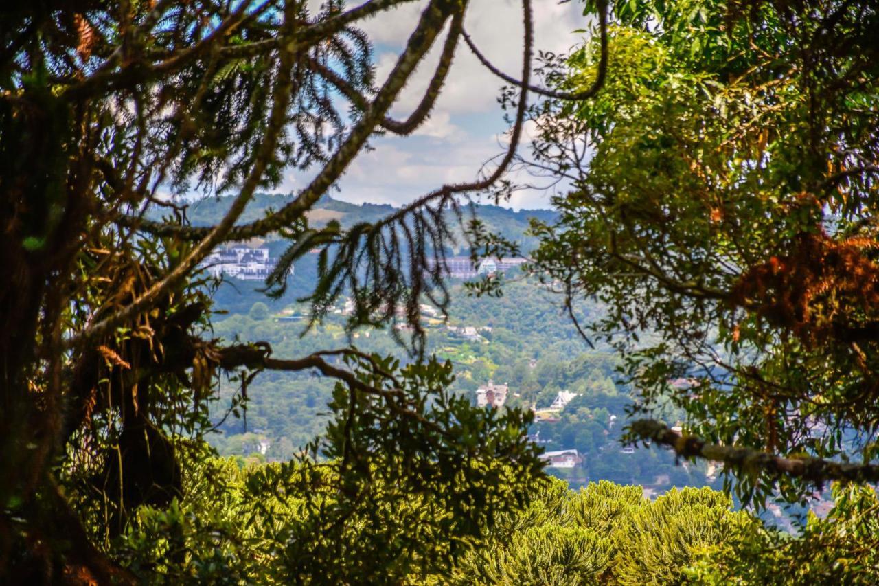 Suíte com Vista para a Montanha