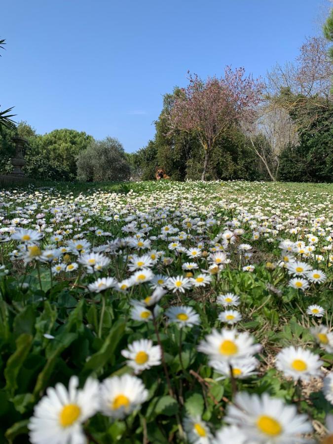 Suite - Vue sur Jardin