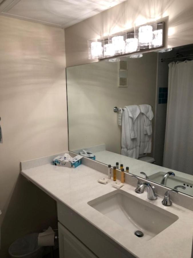 Two-Bedroom Loft,246750785:JPEG