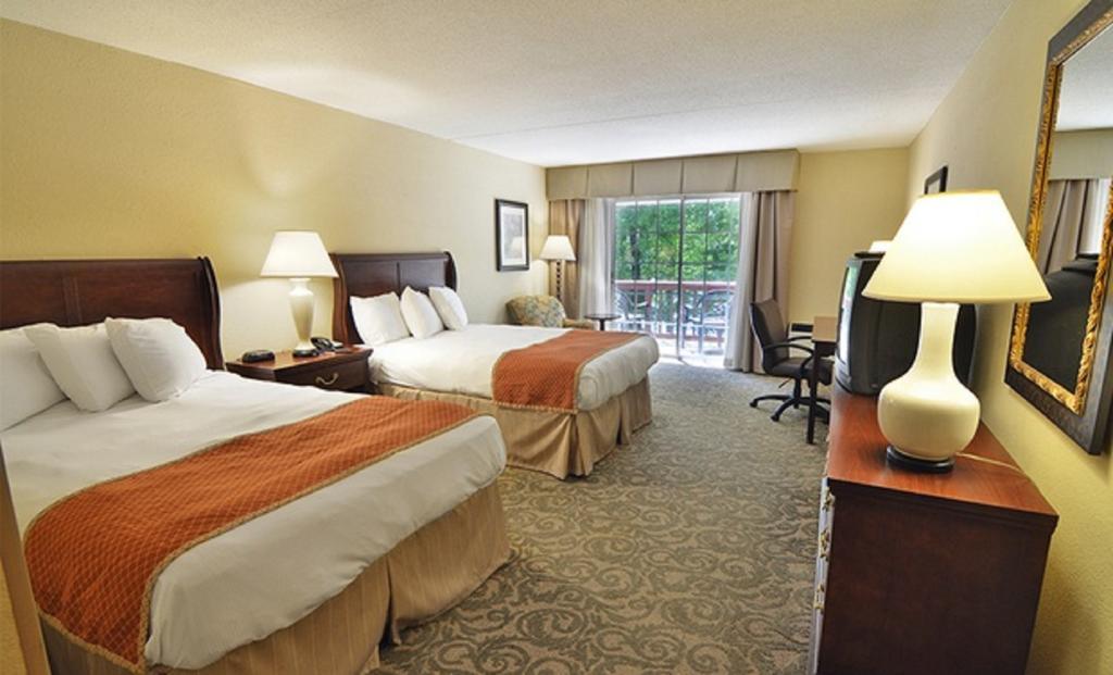 Double Room with Two Double Beds,65032288:JPEG