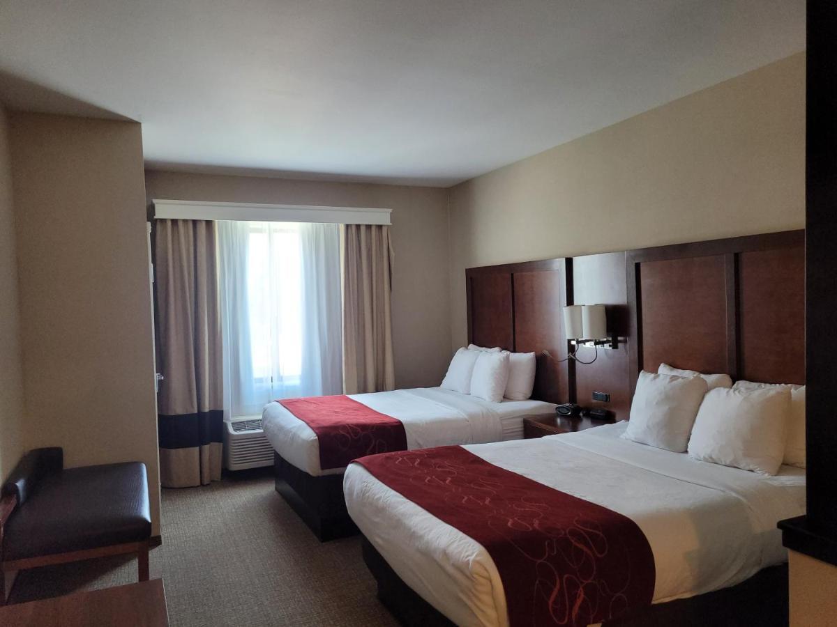 Queen Suite with 2 Queen Beds and Sofabed