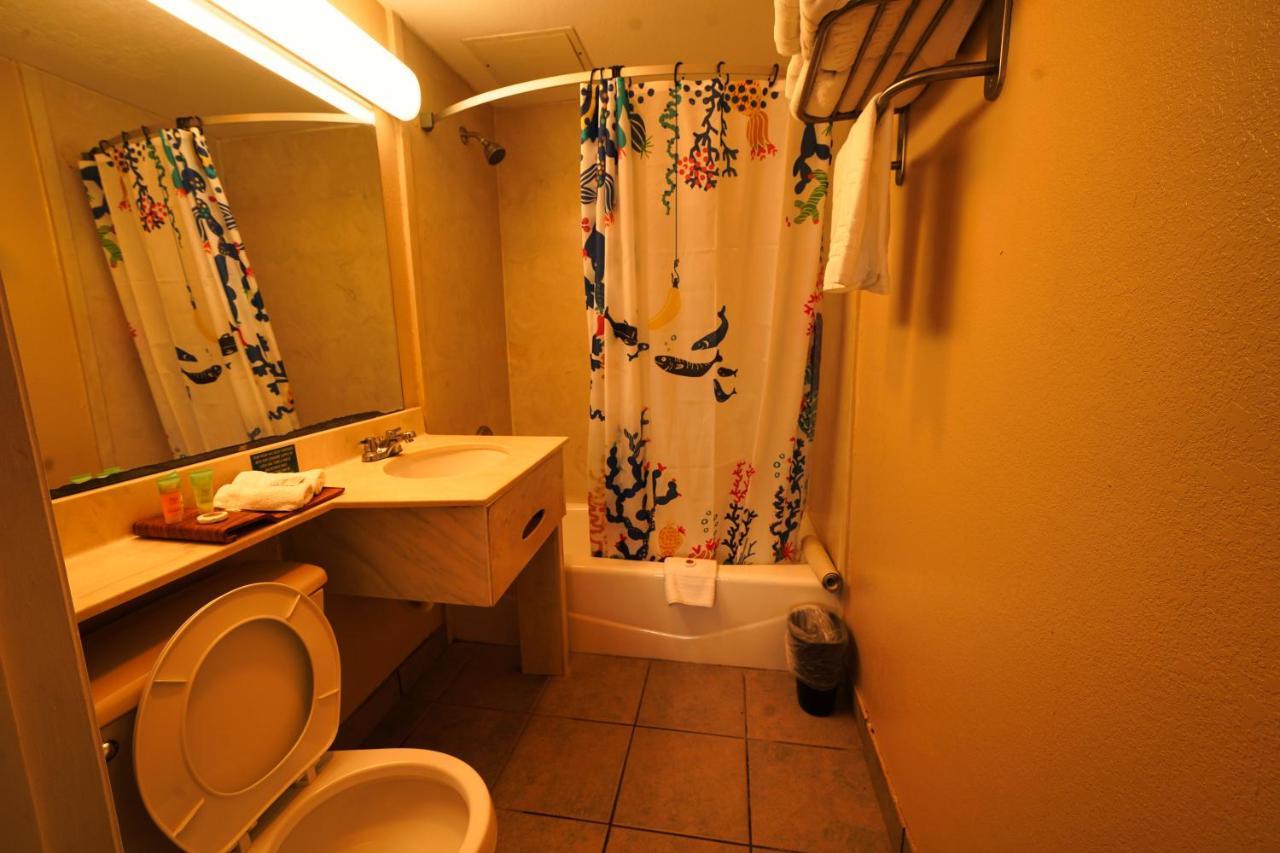 Double Room,991498069:JPEG