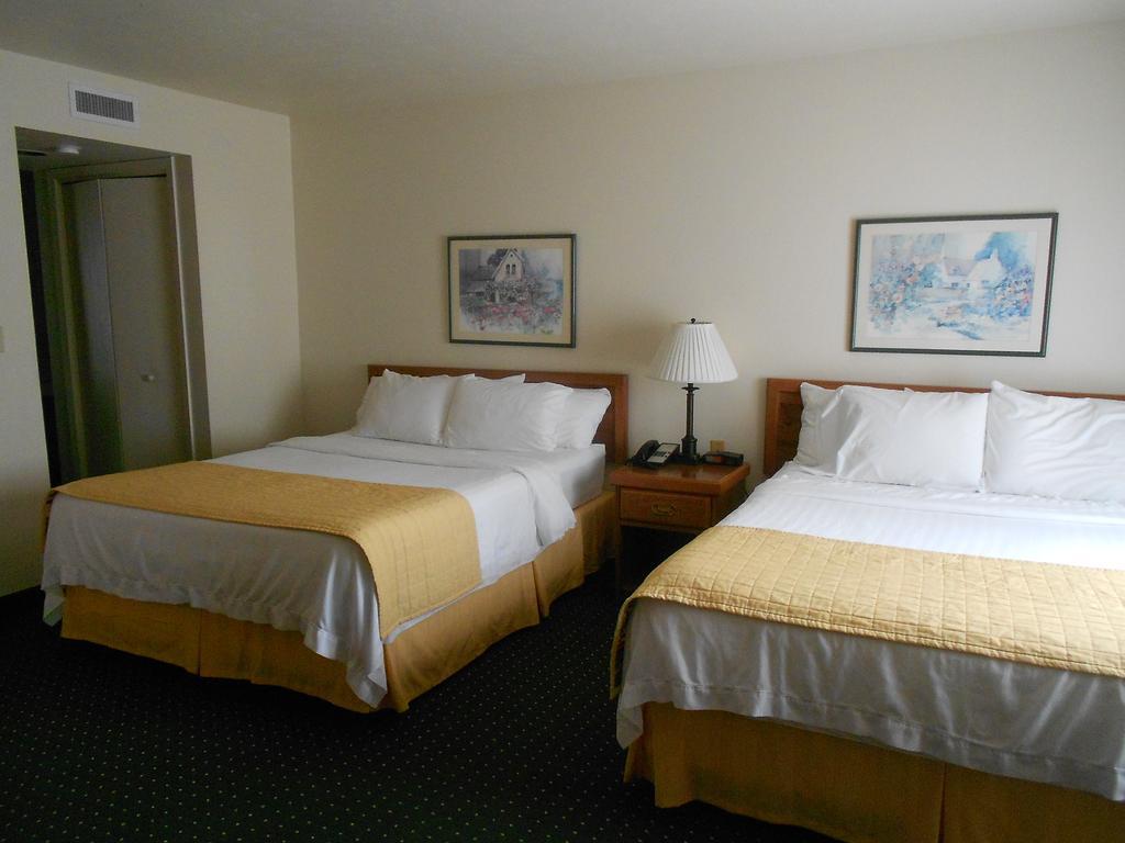 Executive Penthouse Suite with Two Queen Beds - Non Smoking,117196339:JPEG