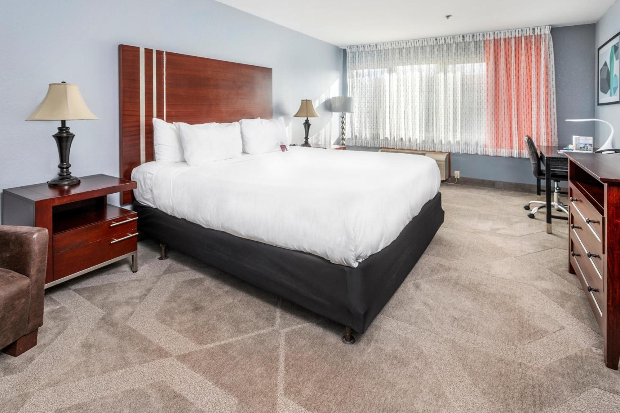 King Room,1218352657:JPEG
