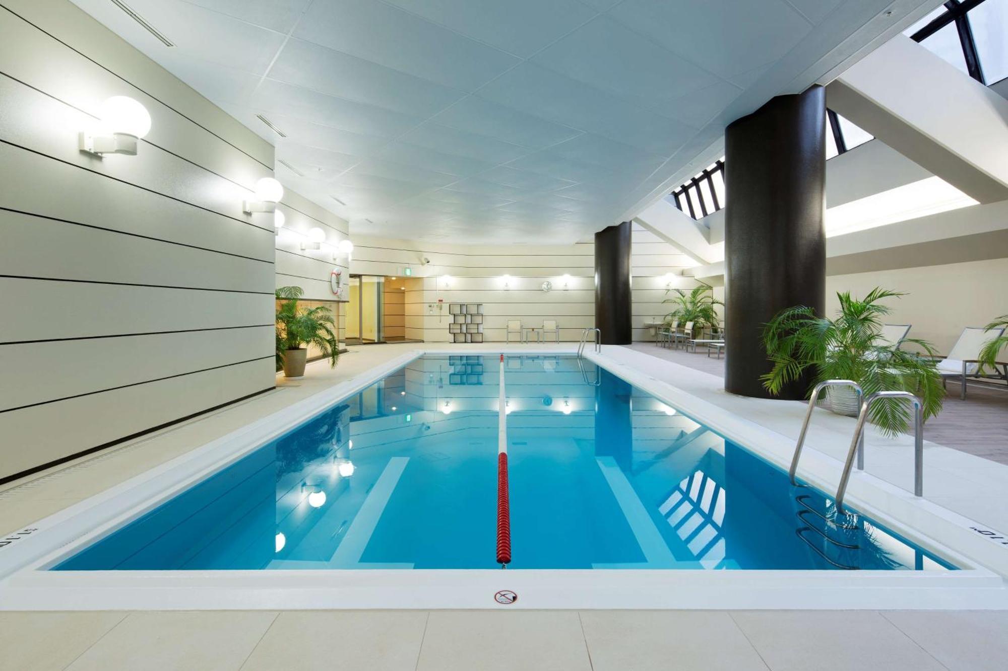 Chambre King Hilton