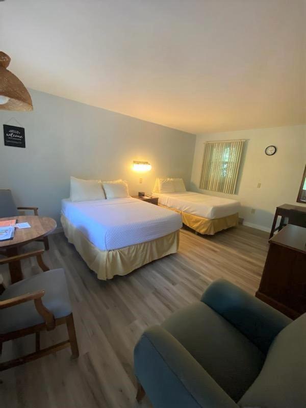 Standard Double Room with Two Double Beds