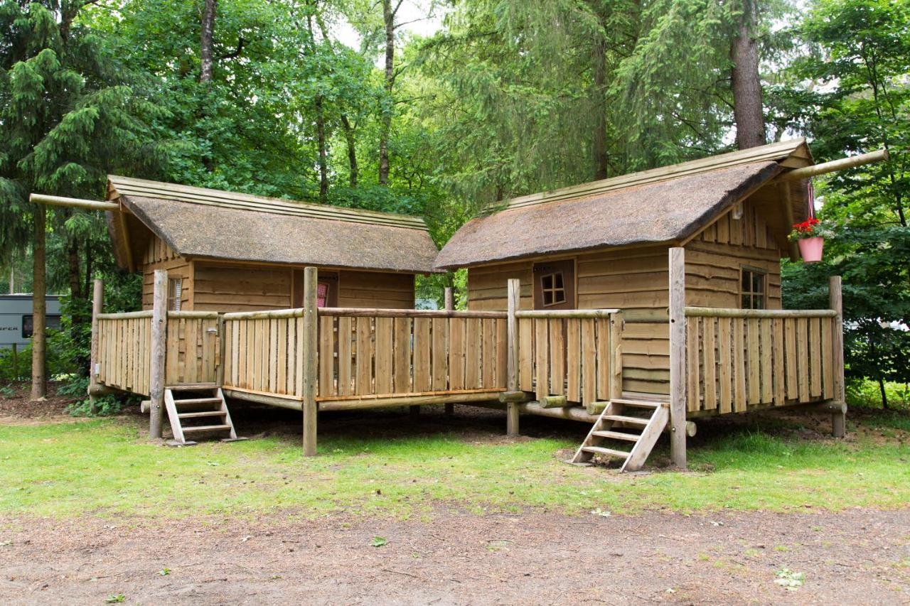 Wooden Cabin,1589544232:JPEG
