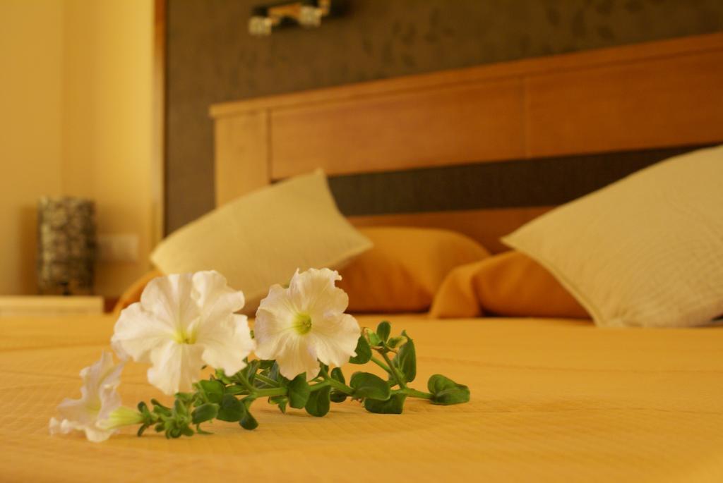 Double or Twin Room,142556487:JPEG