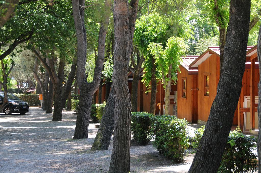 Bungalow (2 Adulti)
