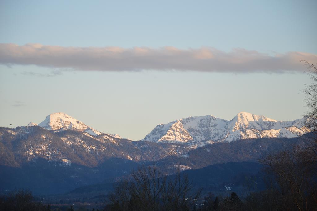 Apartment mit 1 Schlafzimmer