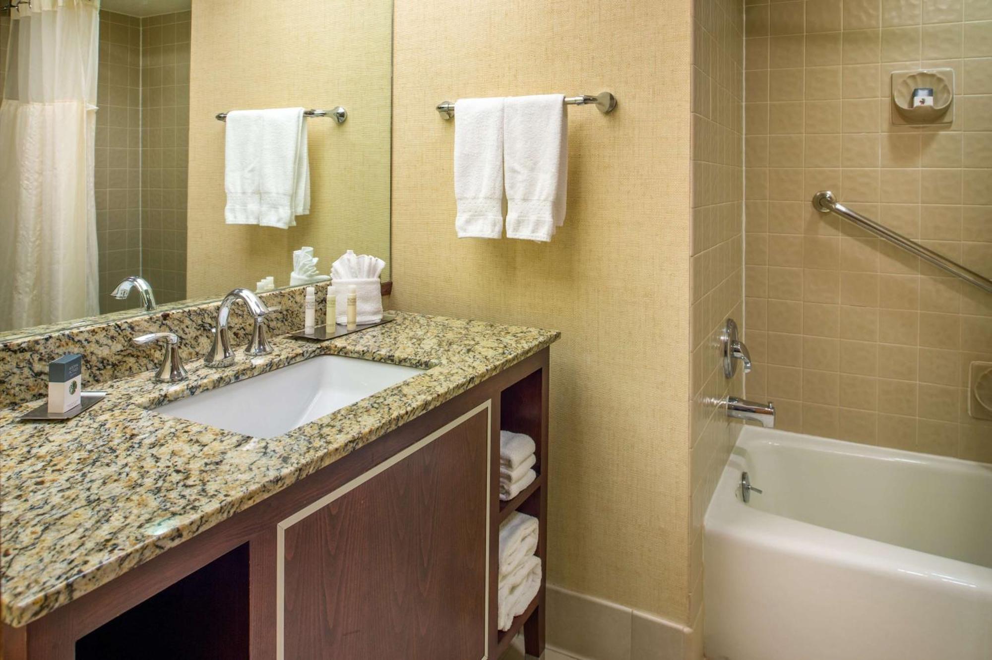 Executive King Suite