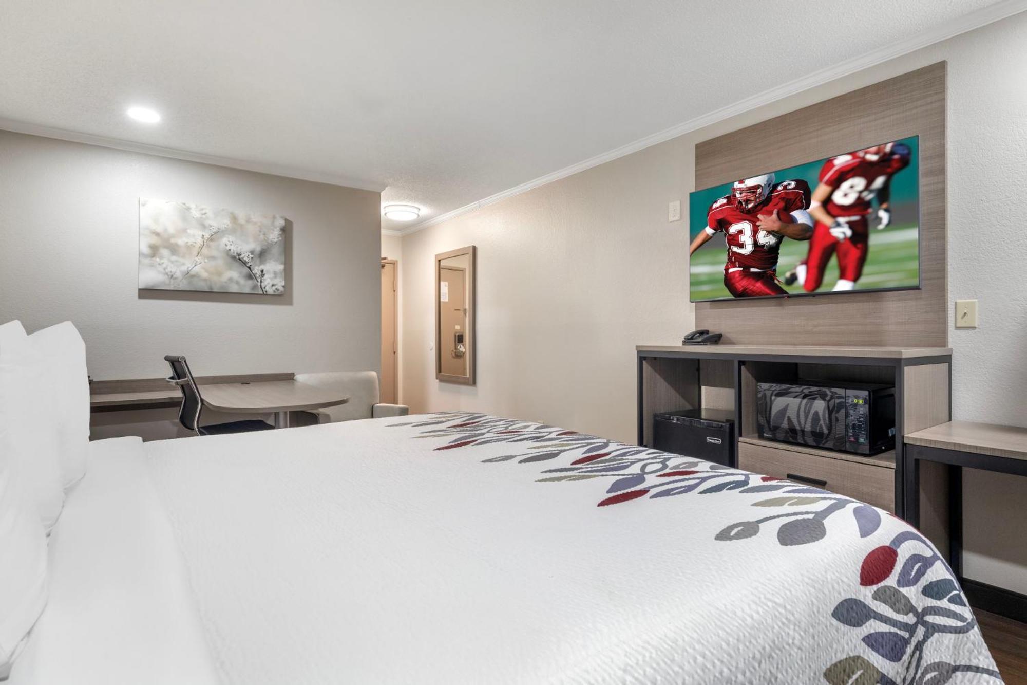 Suite King Room Non-Smoking