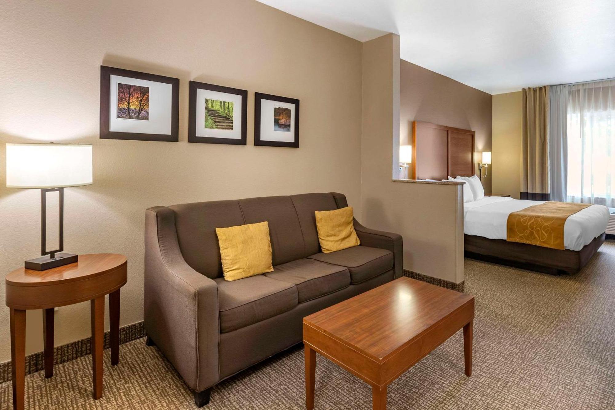 Efficiency King Suite - Non Smoking/Pet Friendly,1591503066:JPEG