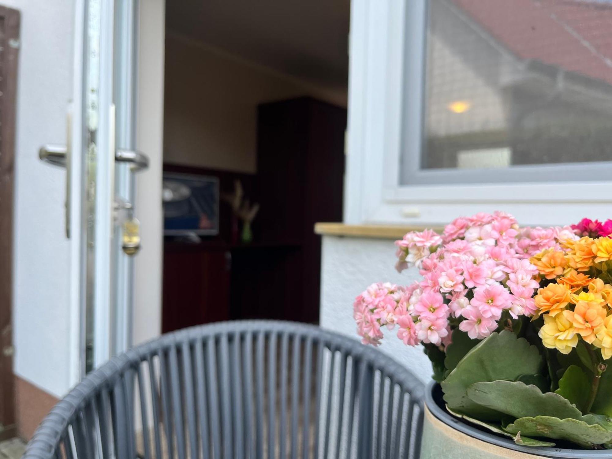 Double Room - Disability Access,1665436212:JPEG