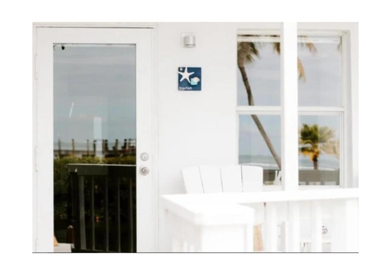 Starfish (Ocean View)