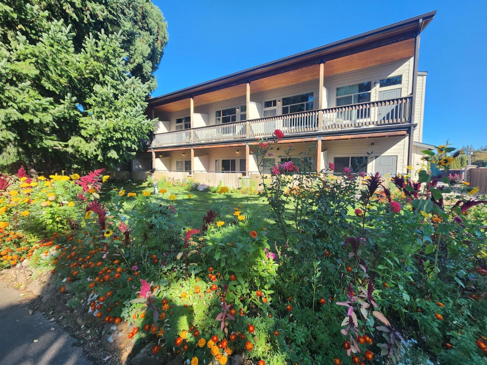2 Queen Beds, Courtyard View (No Pets)