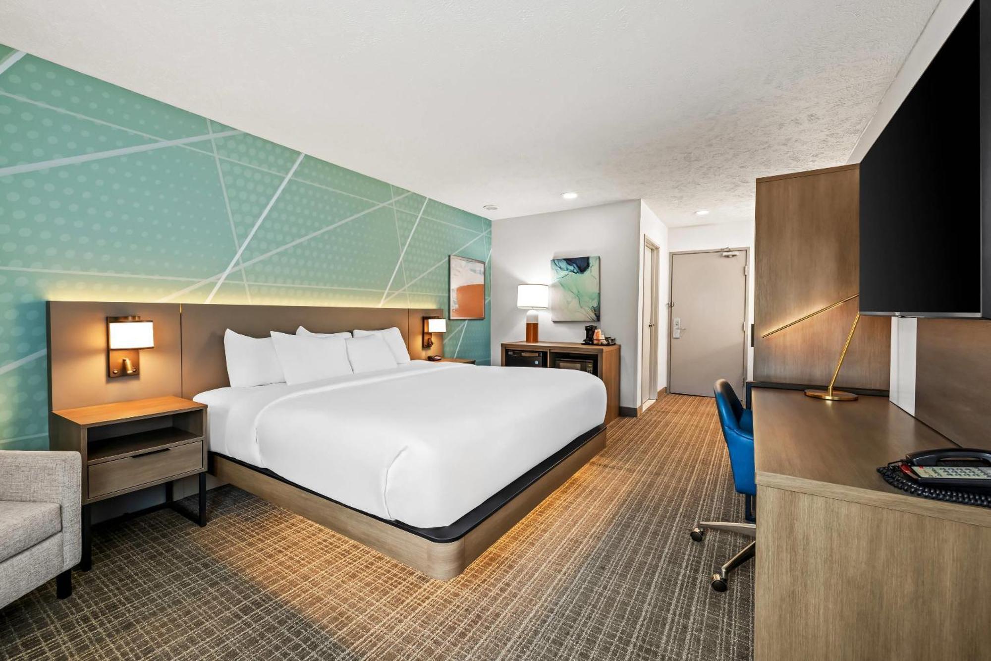 King Room,1717079393:JPEG