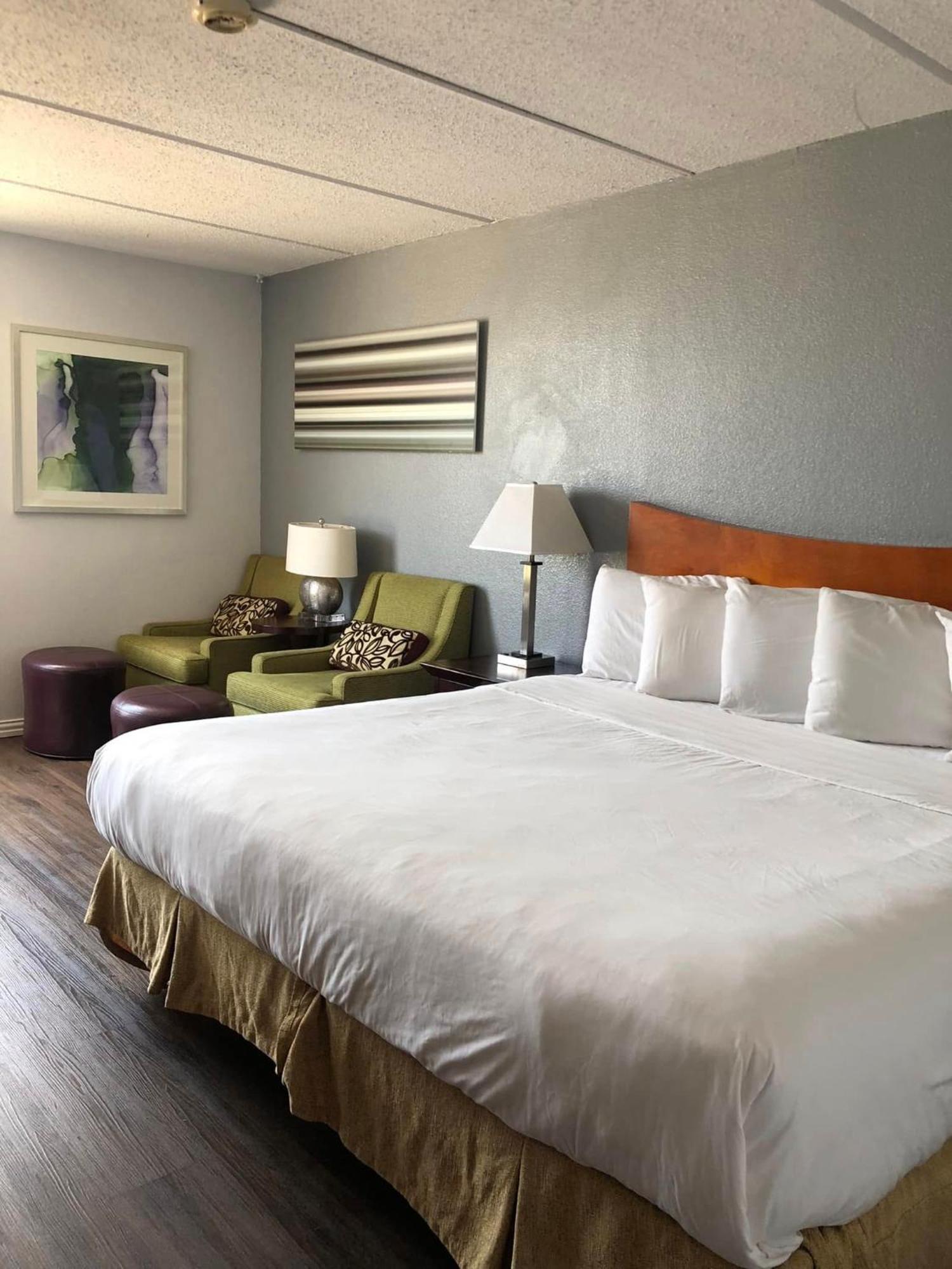 King Room,1739542613:JPEG