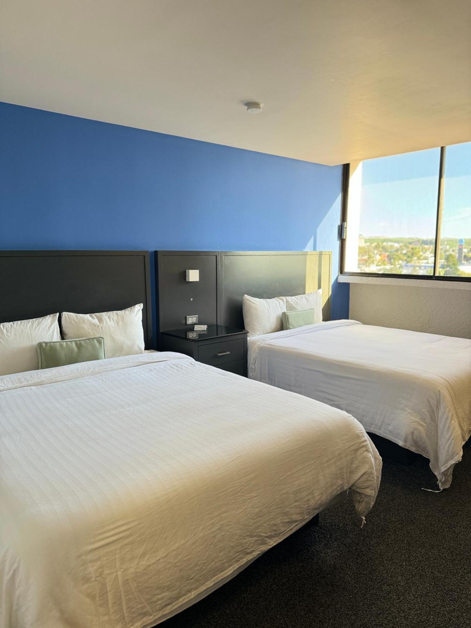 Double Room,1742785565:JPEG