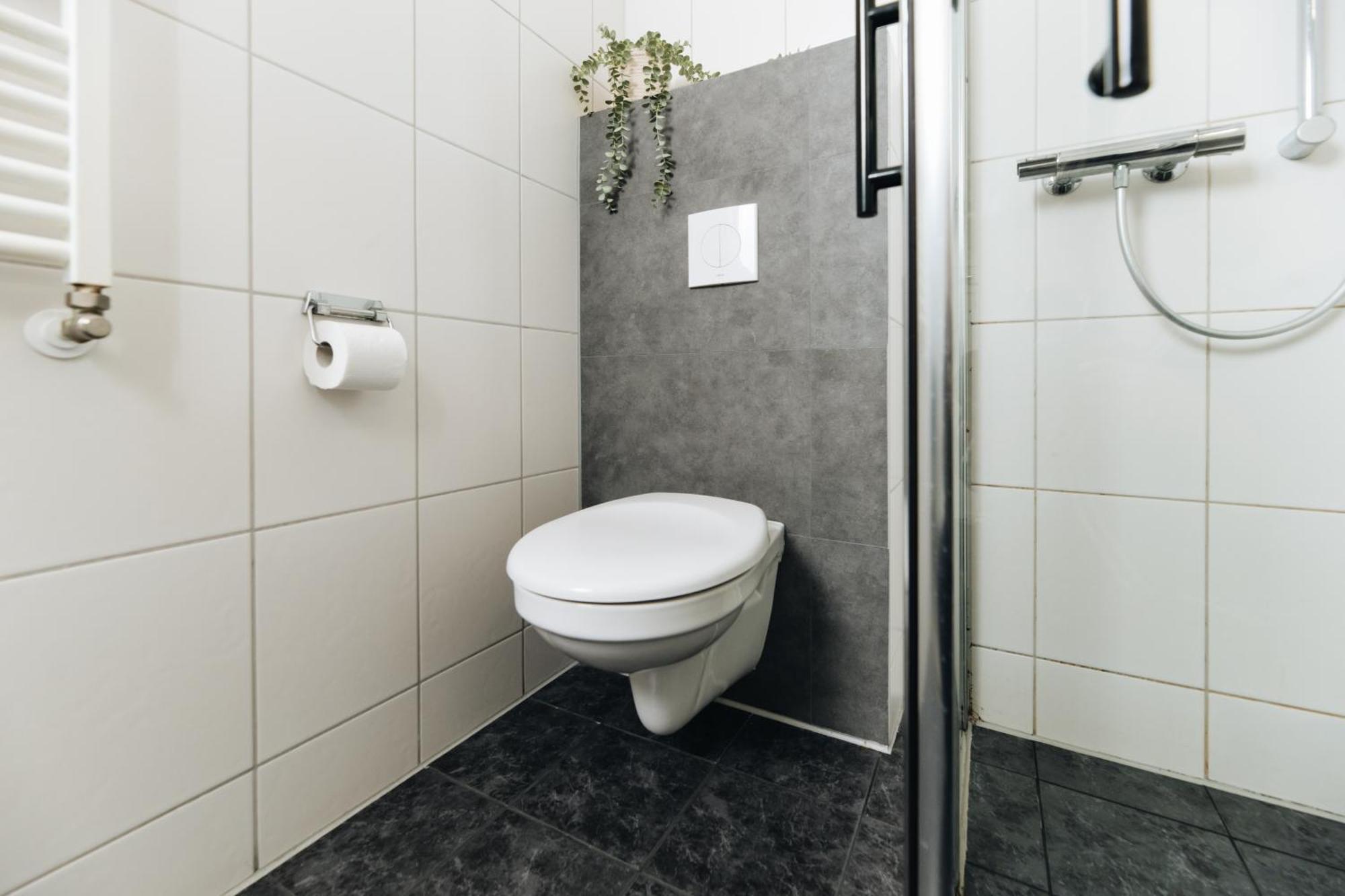 Comfort Tweepersoonskamer (Huisdieren Toegestaan)