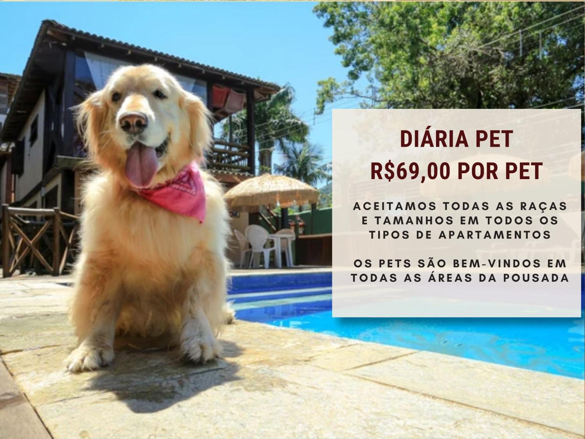 Suíte