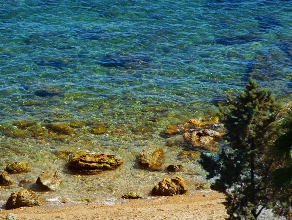 Camera Matrimoniale/Doppia con Letti Singoli con Vista Mare