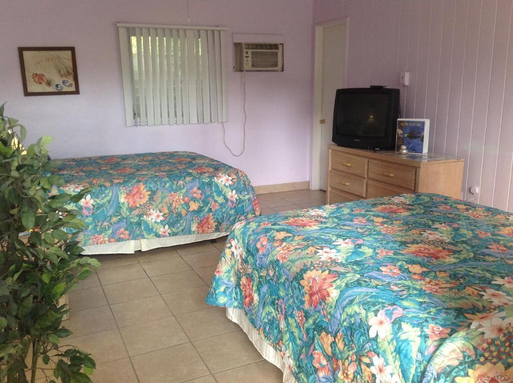Kamer met 2 Queensize Bedden
