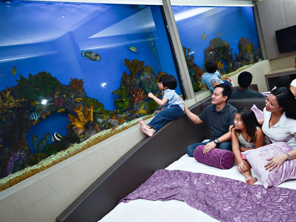 Chambre Double Aqua