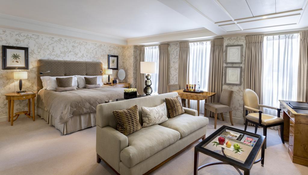 Executive Junior Suite,1706058702:JPEG