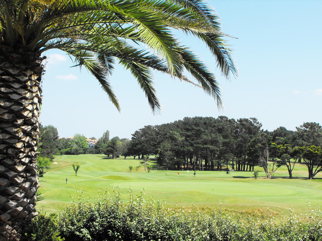 Studio - Vue sur Golf (2 Adultes)