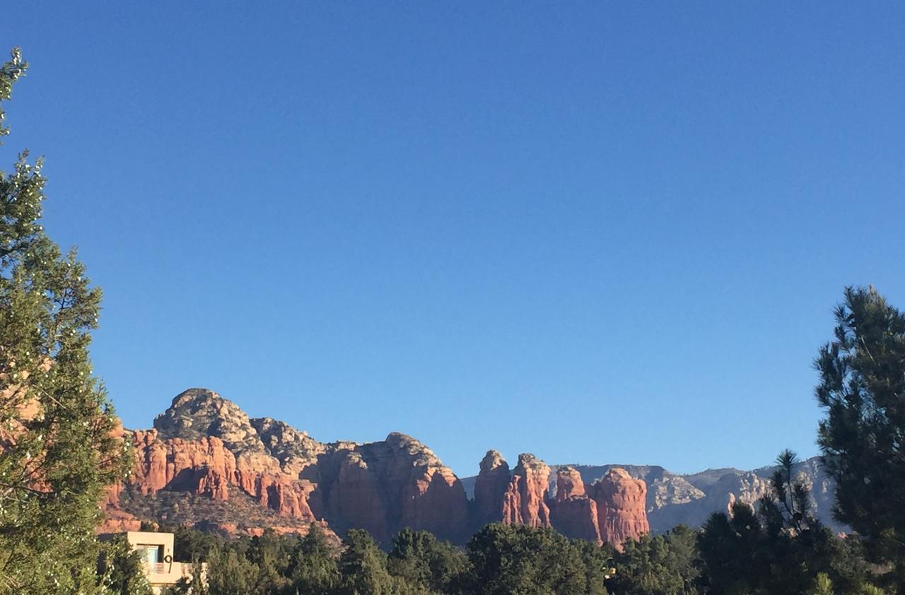 Juniper Shadows - Deluxe King Room,559403694:JPEG