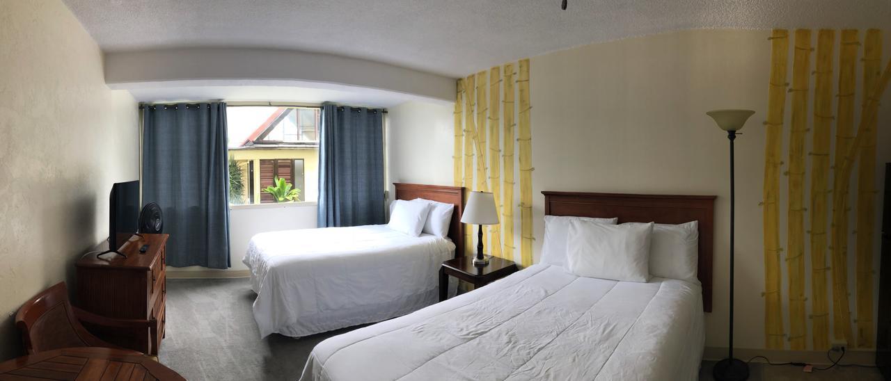 Deluxe Double Studio with Two Double Beds,789716469:JPEG
