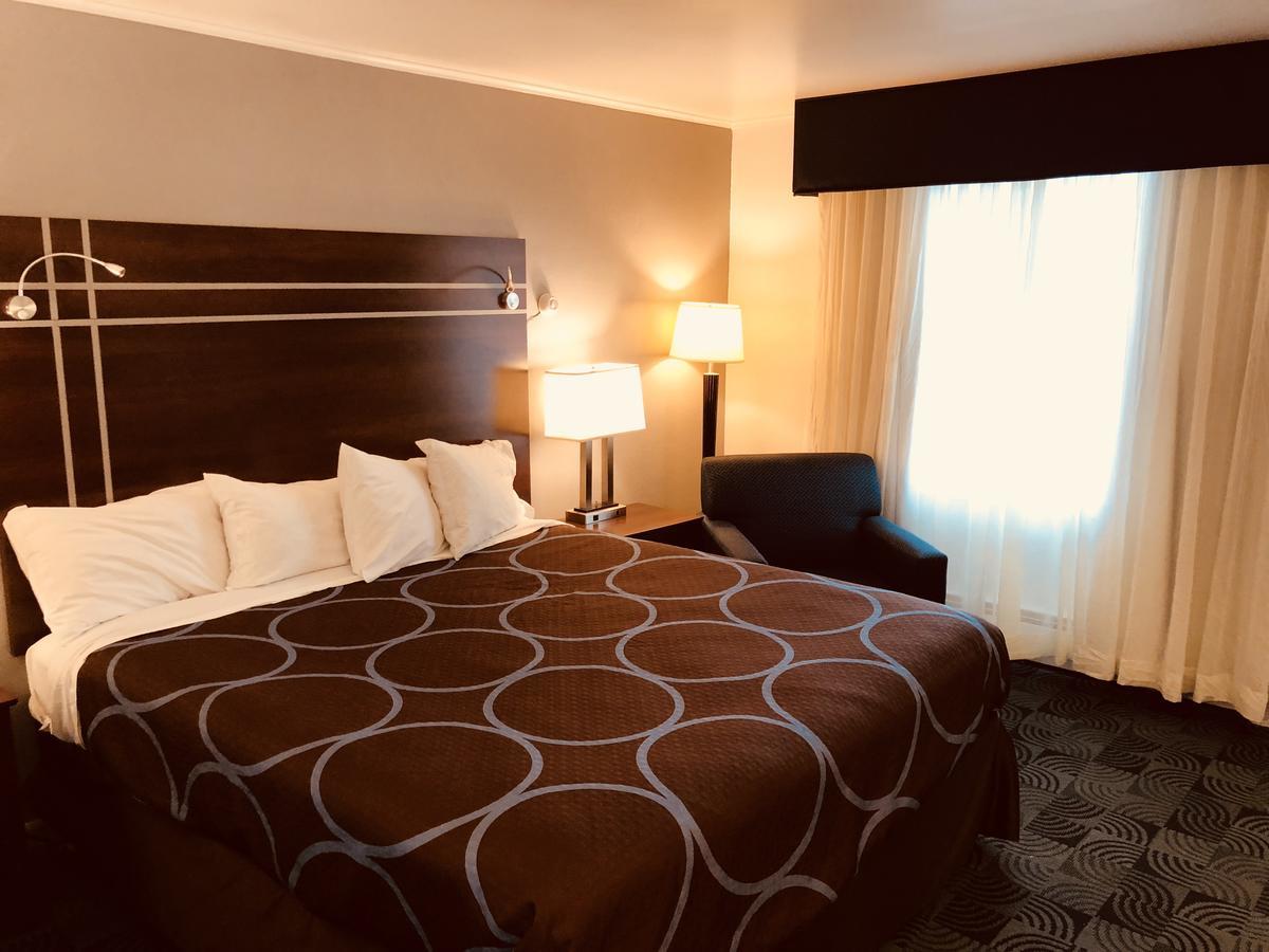 King Room,654566640:JPEG