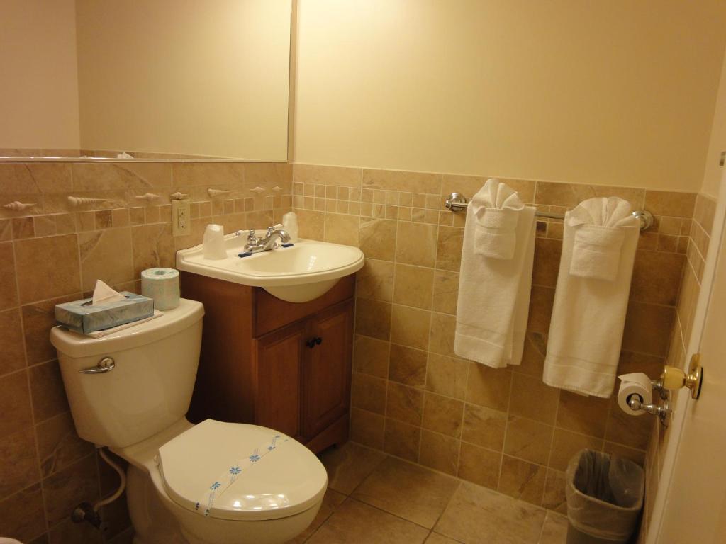 Standard Double Room,685387953:JPEG