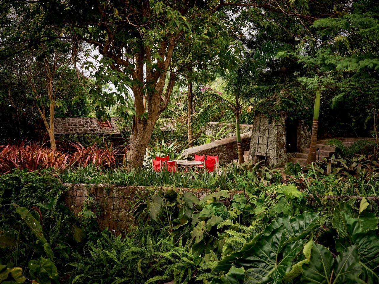 Cottage Garden View,737942098:JPEG