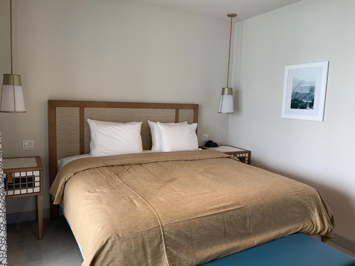 Deluxe King Suite