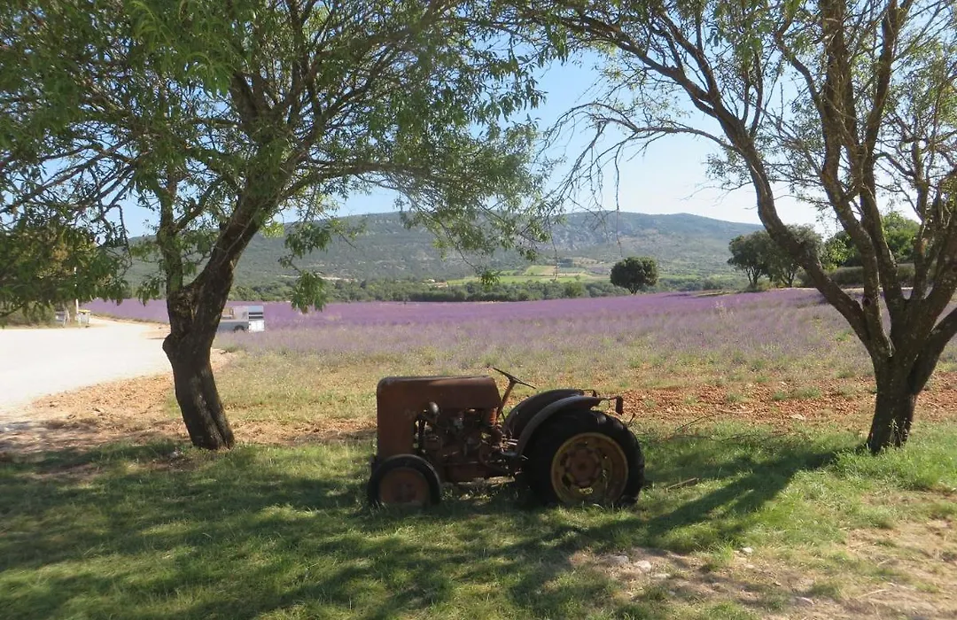 Couleurs du Sud-1