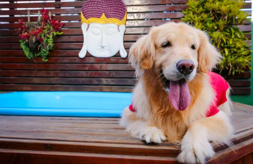 Pousada Pura Vida Maresias-1