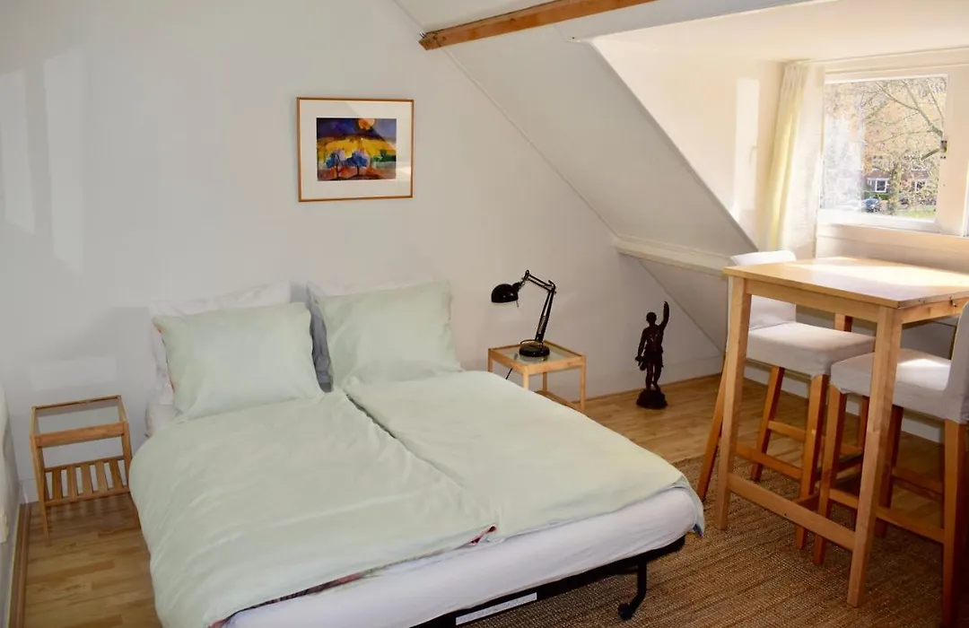 Bed & Breakfast Tegenover De Molen-1