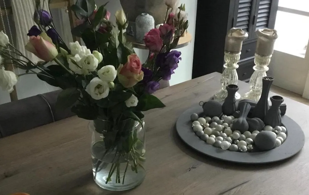 B&B Huize 'T Goylaan-1