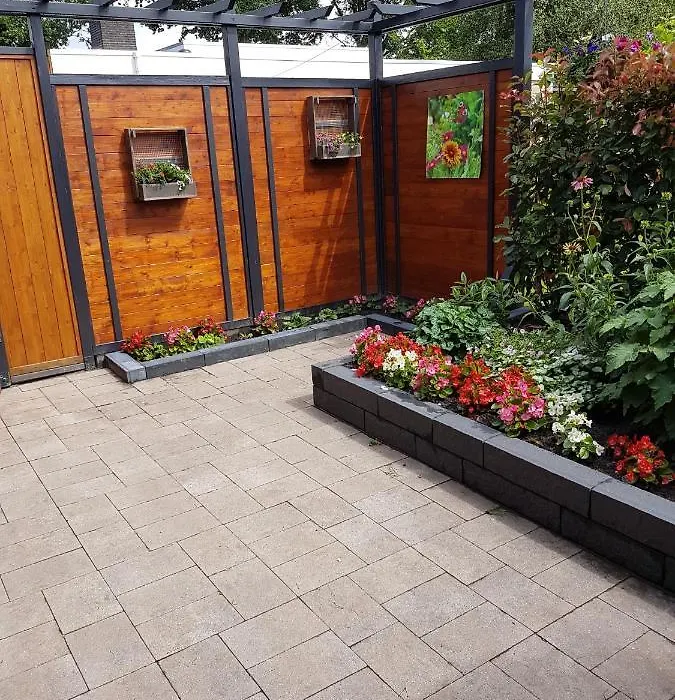 Achter de Beukenboom-1