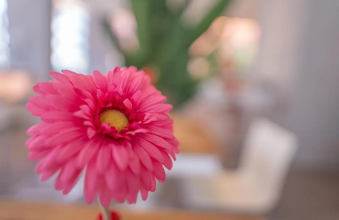 Design Hotel Astra B&B-1