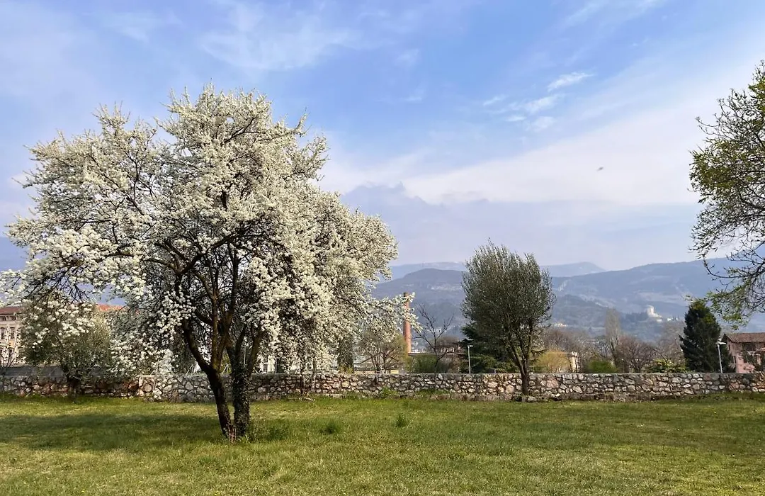 Colle Ameno Room&Breakfast-1