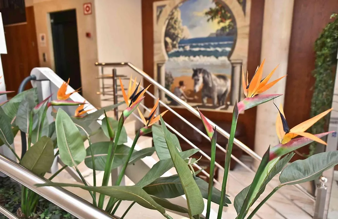 Hotel Adsubia-1