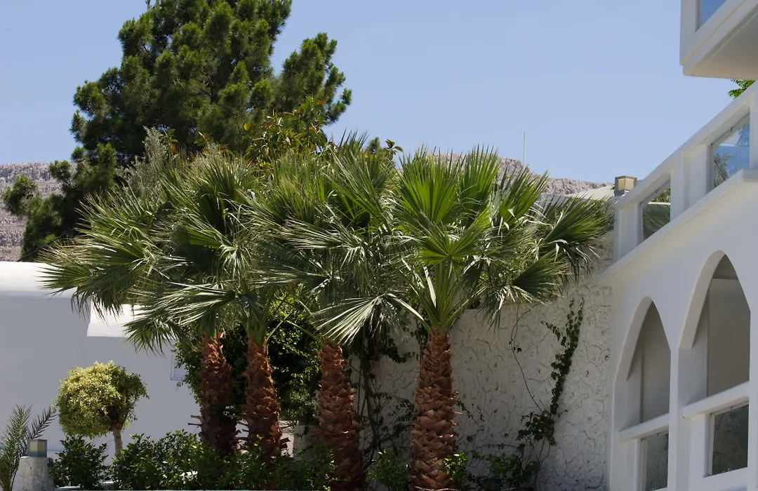 Lindos White Hotel & Suites-1