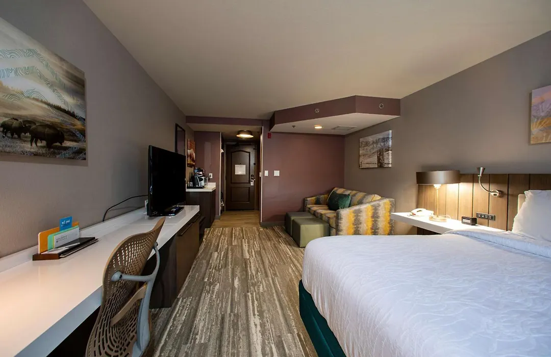 Hilton Garden Inn Rapid City-1