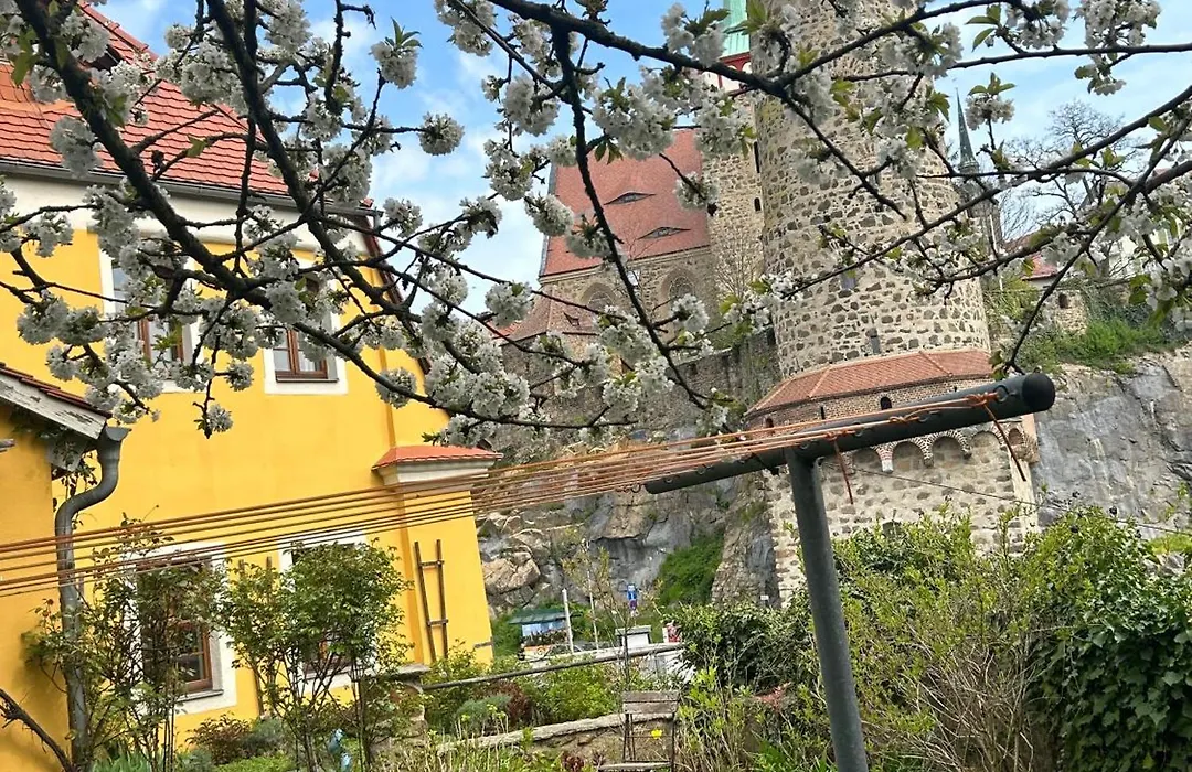 Alte Gerberei-1