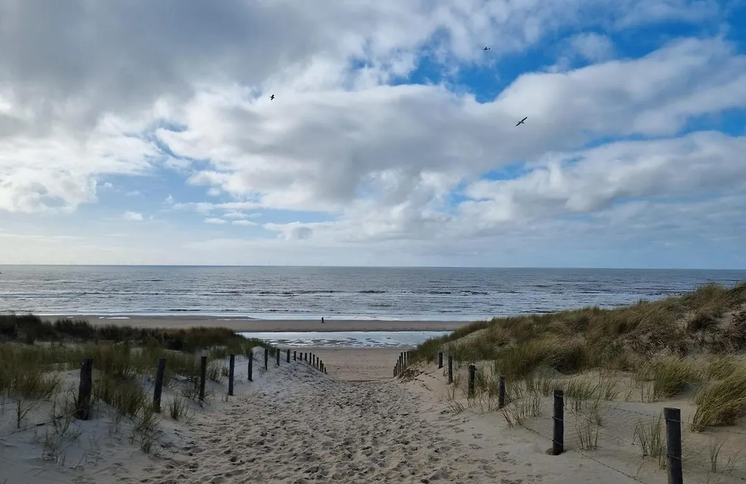 Rembrandts Beach View-1
